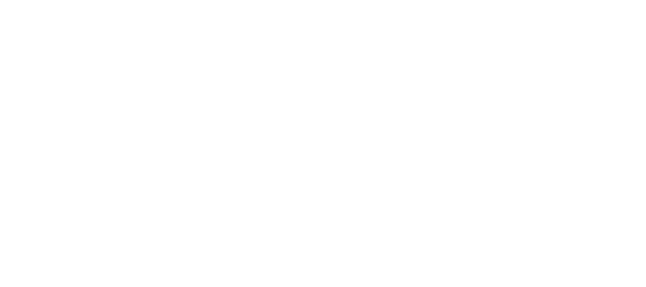 Rotterdampas